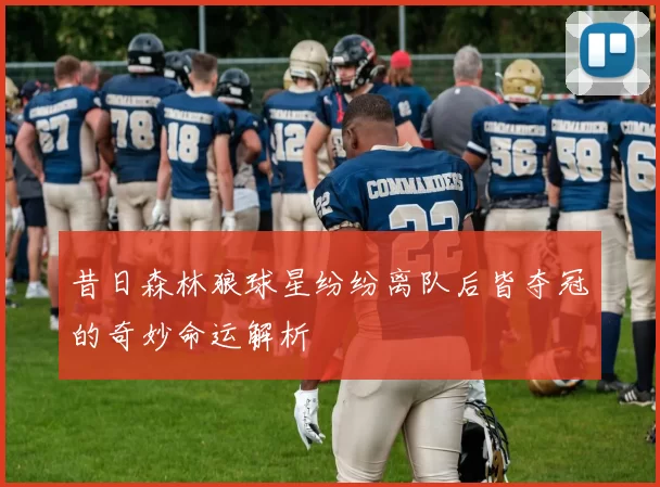 昔日森林狼球星纷纷离队后皆夺冠的奇妙命运解析