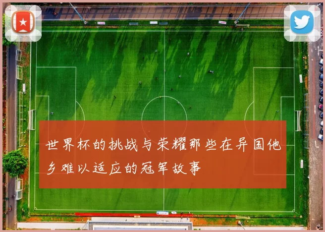 世界杯的挑战与荣耀那些在异国他乡难以适应的冠军故事
