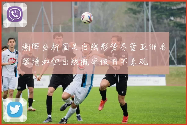 谢晖分析国足出线形势尽管亚洲名额增加但出线概率依旧不乐观